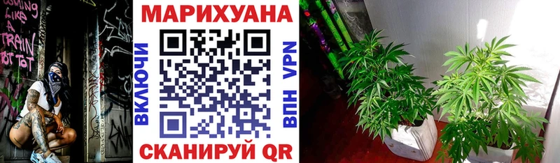 где найти   Анжеро-Судженск  Бошки Шишки план 